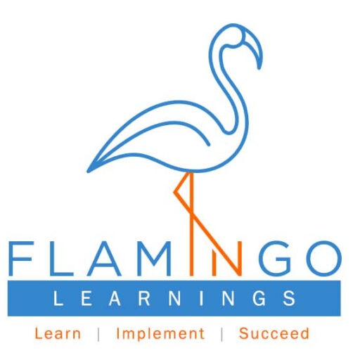 Flamingo Learnings